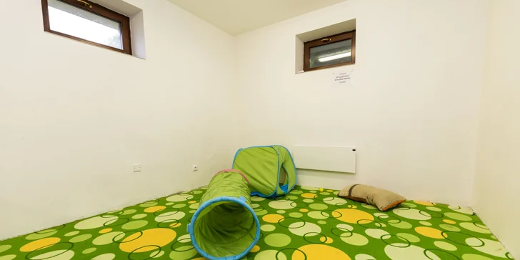 Na výlety do Krkonoš: horská chata v Rokytnici nad Jizerou s polopenzí