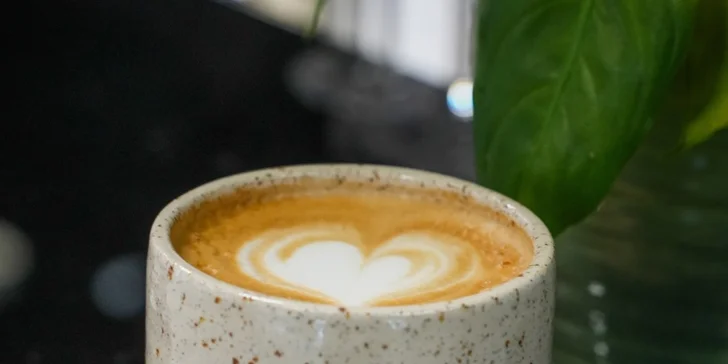 Dárek pro milovníky kávy: baristický kurz pro začátečníky, domácí příprava espressa i latte art