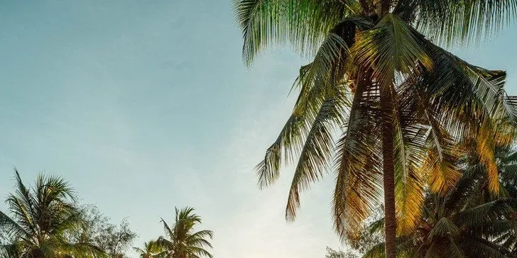Dovolená na Zanzibaru vč. letenek: 4* hotel s all inclusive, přímo u pláže Michamvi