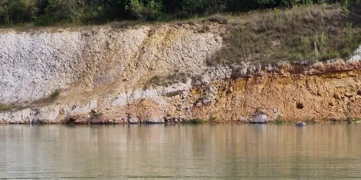 Jízda na poníkovi nebo koni pro děti i dospělé vč. vyčištění a krmení: 30-120 min.