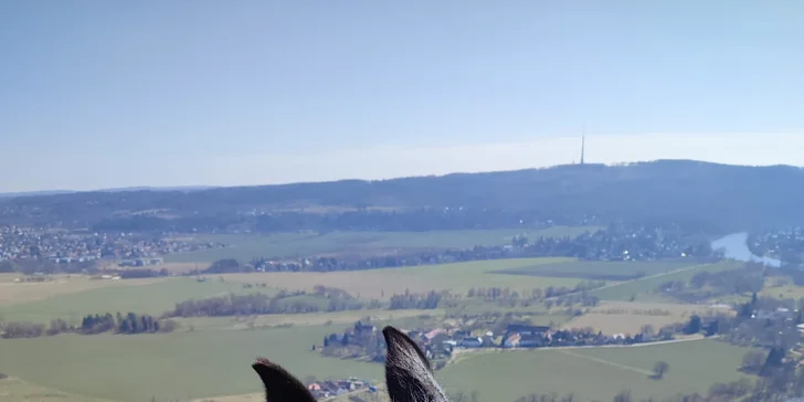 Jízda na poníkovi nebo koni pro děti i dospělé vč. vyčištění a krmení: 30-120 min.