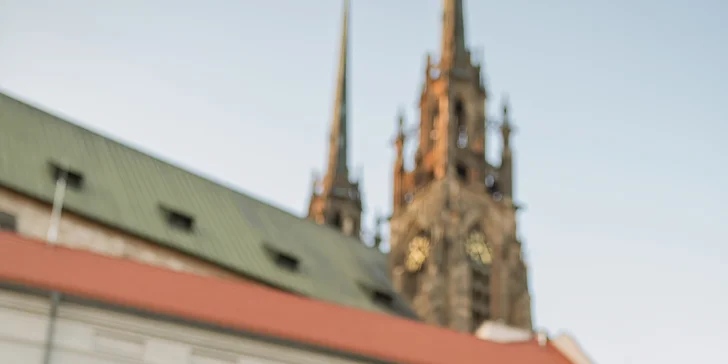 Párové, rodinné, těhotenské či sólo focení od profesionála