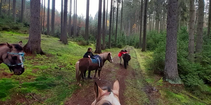 Hodinová jezdecká škola pro děti i dospělé: vyjížďka i možnost teorie