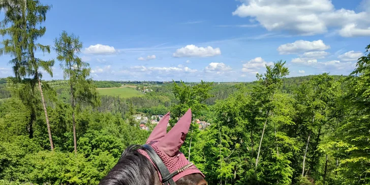 Jízda na poníkovi nebo koni pro děti i dospělé vč. vyčištění a krmení: 30-120 min.