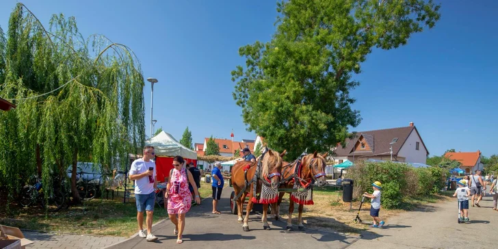 Jednoduchá vstupenka na Otevřené sklepy Mikulčice 2025
