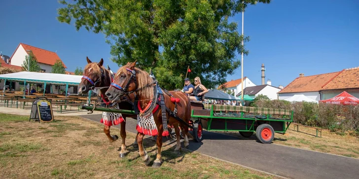 Jednoduchá vstupenka na Otevřené sklepy Mikulčice 2025
