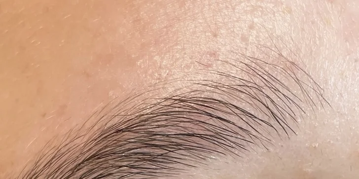 Uhrančivý pohled: lash lifting včetně barvy na řasy v salonu v Prostějově