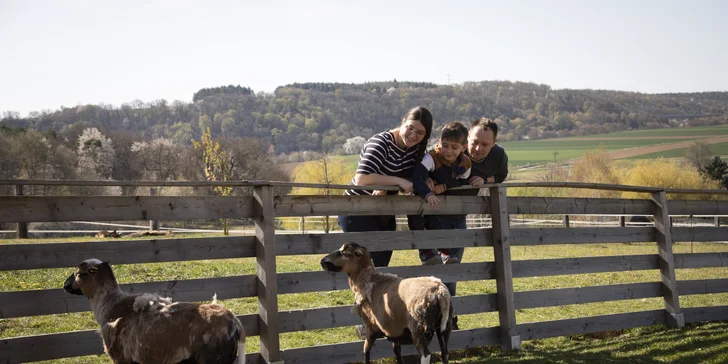 Rodinná dovolená v Rakousku: hotel s polopenzí a wellness, malá zoo i venkovní bazény