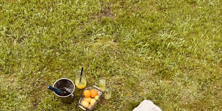 Zapůjčení grilu na 2 hodiny + grill balíček (maso, sýry, pečivo, omáčky)