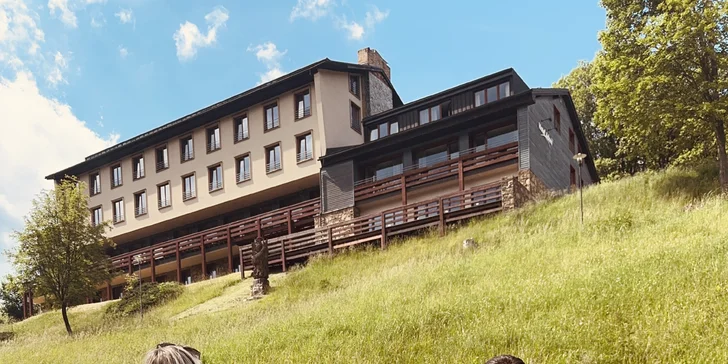Zapůjčení grilu na 2 hodiny + grill balíček (maso, sýry, pečivo, omáčky)