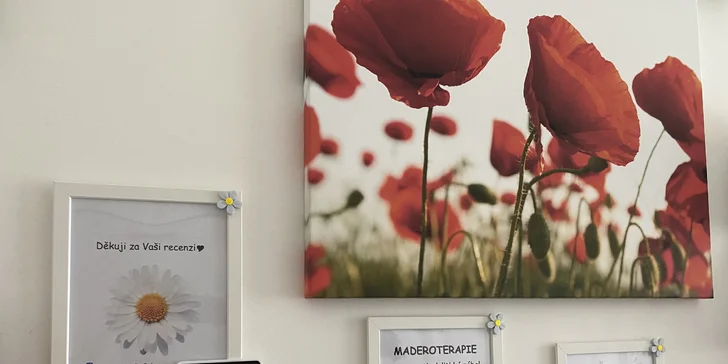 Antioxidační kosmetické ošetření Rose Hip Queen i úprava obočí a barvení řas
