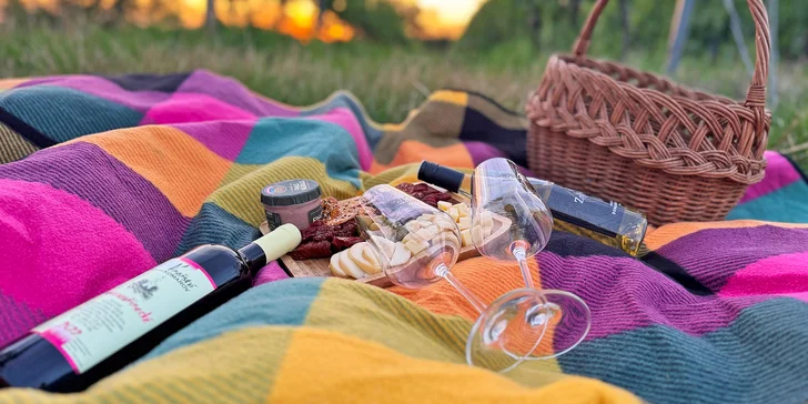 Degustace vín a romantický piknik ve vinici na jižní Moravě pro 2 osoby