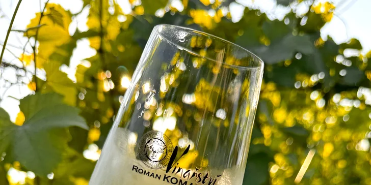 Degustace vín a romantický piknik ve vinici na jižní Moravě pro 2 osoby