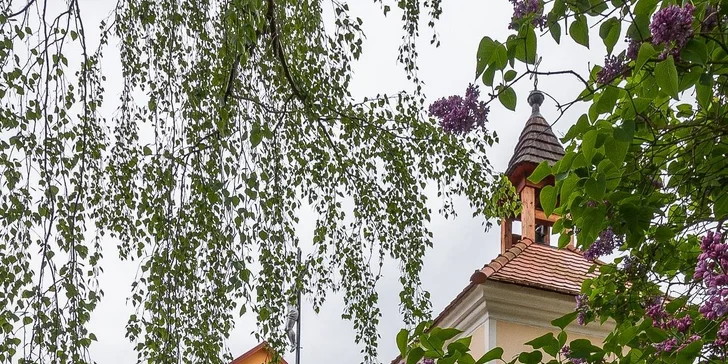 Útulné apartmány na břehu Slapské přehrady: možnost wellness, půjčení kánoe a projížďky člunem s kapitánem