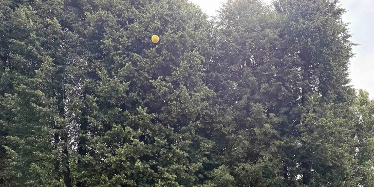 Privátní tenisové lekce s trenérem: 60 minut pro 1 nebo 2 osoby
