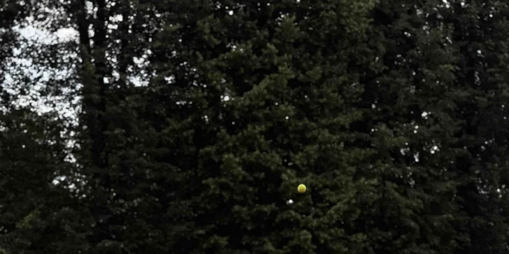 Privátní tenisové lekce s trenérem: 60 minut pro 1 nebo 2 osoby