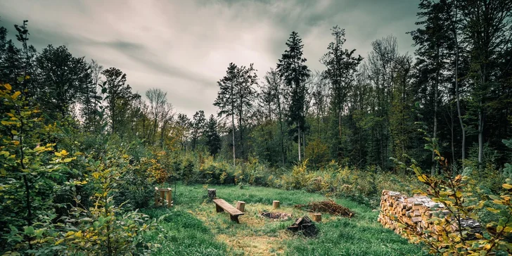 Tiny house na Sázavě: cedrová sauna, možnost snídaní i grilování