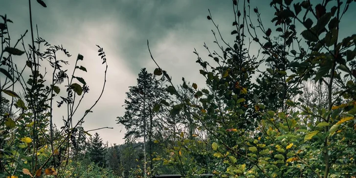 Tiny house na Sázavě: cedrová sauna, možnost snídaní i grilování