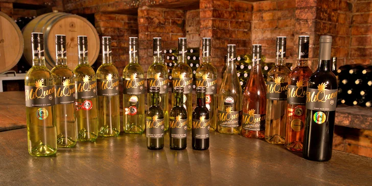 Vinná degustace potmě s občerstvením ve sklepní vinárně pro 1 osobu