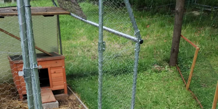 Procházky s alpakami nebo návštěva zahrady s krmením zvířátek