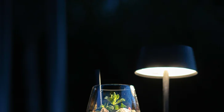 Dárkové poukazy na jídlo i nápoje ve 3 restauracích Žižkovské věže: Miminoo, Oblaca a Bistro 66