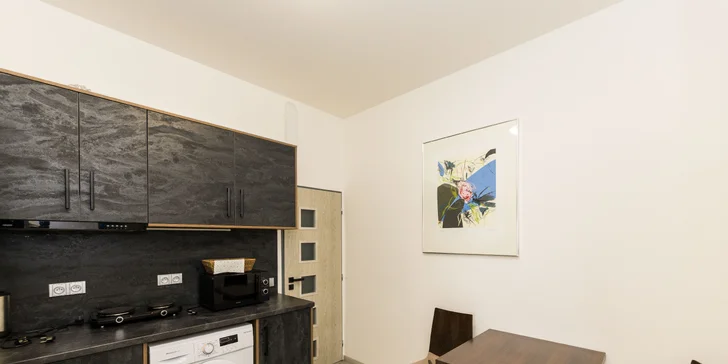 Pobyt nedaleko Karlových Varů: apartmány s kuchyňkou až pro 7 osob