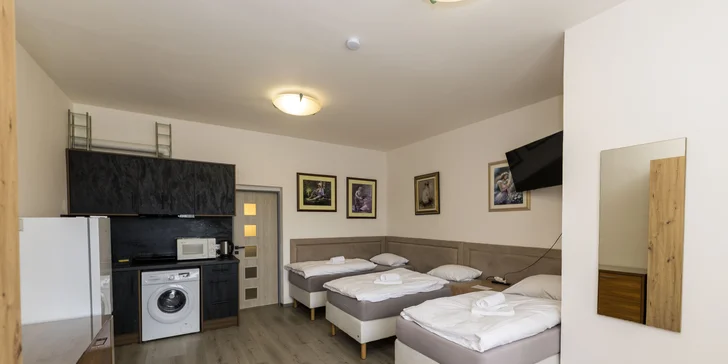 Pobyt nedaleko Karlových Varů: apartmány s kuchyňkou až pro 7 osob