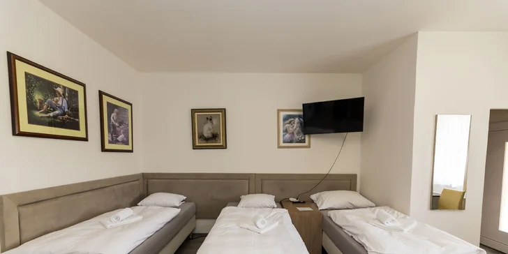 Pobyt nedaleko Karlových Varů: apartmány s kuchyňkou až pro 7 osob