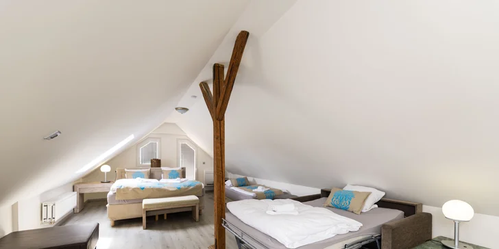 Pobyt nedaleko Karlových Varů: apartmány s kuchyňkou až pro 7 osob
