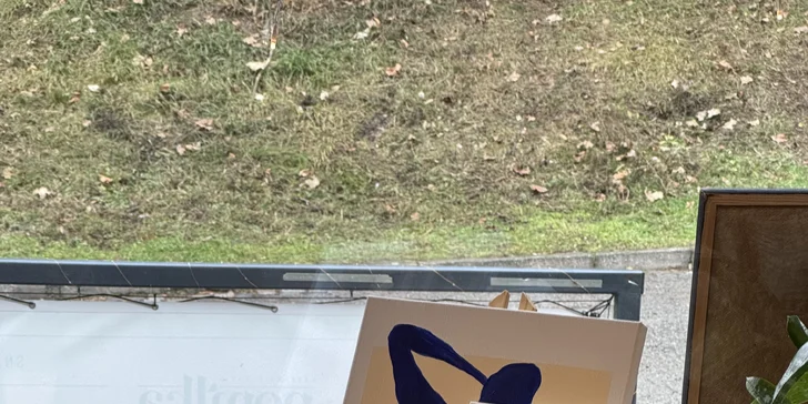 Tříhodinový workshop malování s brunchem pro 1 nebo 2 osoby