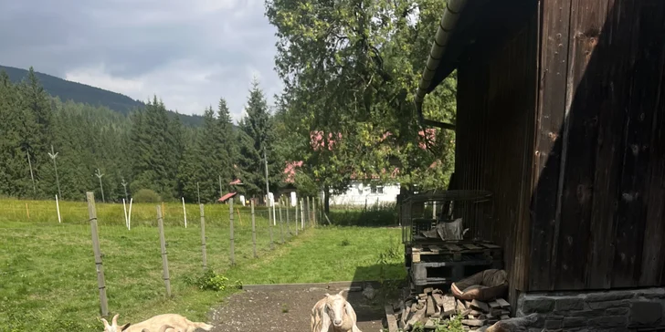 Zážitek na záchranné farmě: terapie kozami nebo farmářem na zkoušku pro dva i rodinu