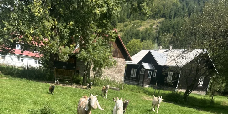 Zážitek na záchranné farmě: terapie kozami nebo farmářem na zkoušku pro dva i rodinu
