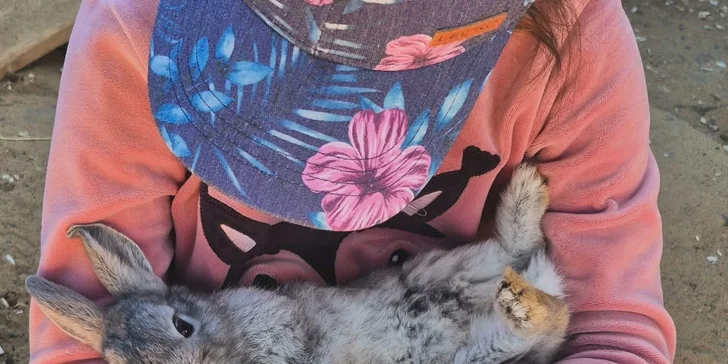 Krmení a podpora zvířátek v kontaktní miniZOO Vendryně: alpaky, surikaty, lemuři, králíčci a další