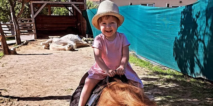 Krmení a podpora zvířátek v kontaktní miniZOO Vendryně: alpaky, surikaty, lemuři, králíčci a další