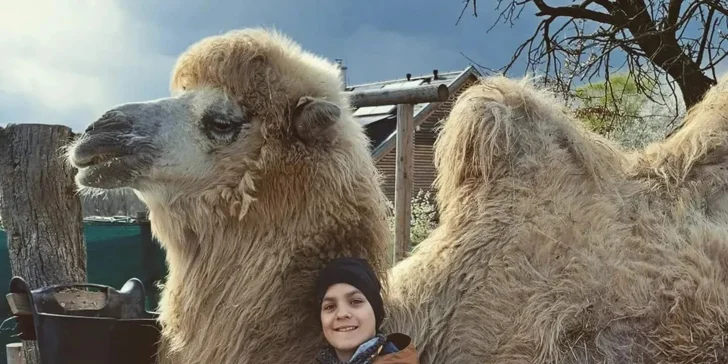 Krmení a podpora zvířátek v kontaktní miniZOO Vendryně: alpaky, surikaty, lemuři, králíčci a další