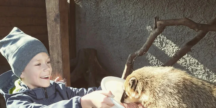 Krmení a podpora zvířátek v kontaktní miniZOO Vendryně: alpaky, surikaty, lemuři, králíčci a další