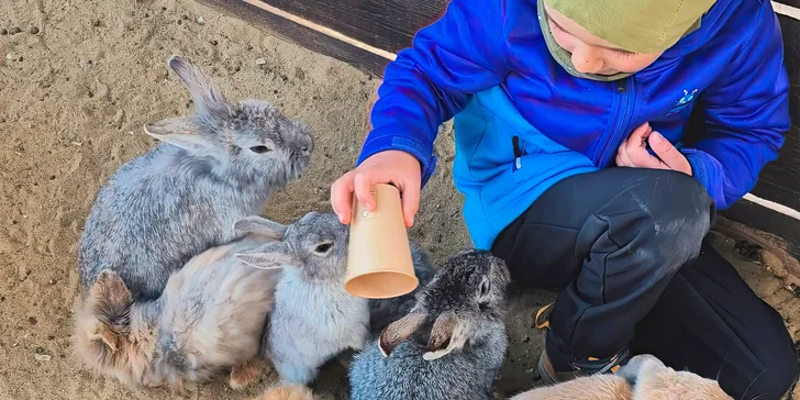 Krmení a podpora zvířátek v kontaktní miniZOO Vendryně: alpaky, surikaty, lemuři, králíčci a další