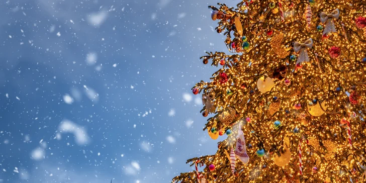 Adventní výlet busem do Dánska: vánoční trhy v Kodani, plavba lodí i návštěva skanzenu
