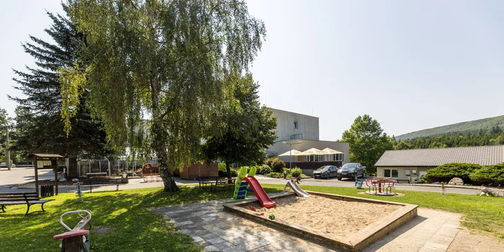 Dovolená v Železných horách: vila nebo chatka, venkovní bazén a wellness, varianty se snídaní