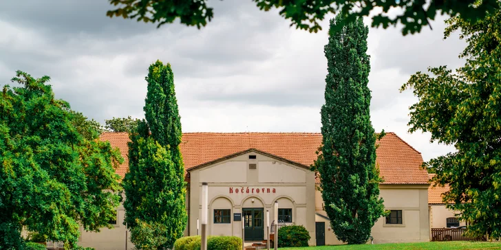 Zámecký hotel 15 km od Prahy: luxusní pokoje, snídaně i večeře a vstupenky na výstavy