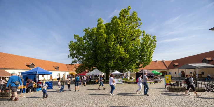 Vstupné do Centra Eden: projděte si historickou lékárnu, Horáckou vesnici i Pyramidu, pro jednotlivce či rodinu