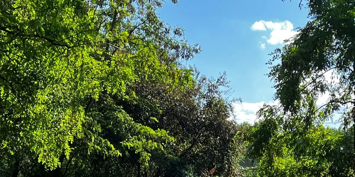 Přijďte si zahrát fotbalgolf do Pirátí zátoky: 1 hra pro děti i dospělé