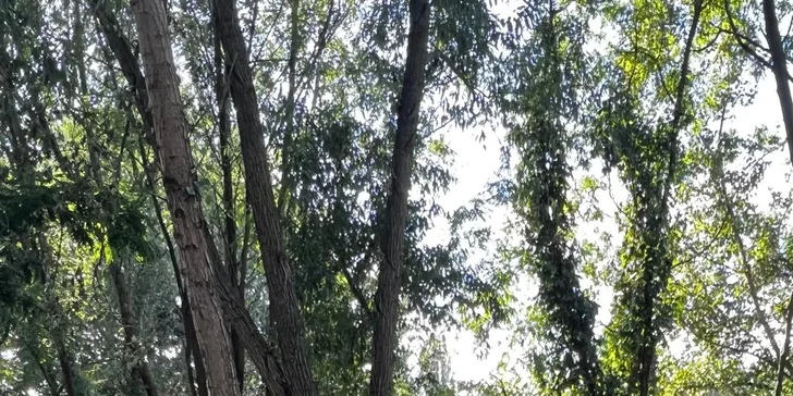 Přijďte si zahrát fotbalgolf do Pirátí zátoky: 1 hra pro děti i dospělé