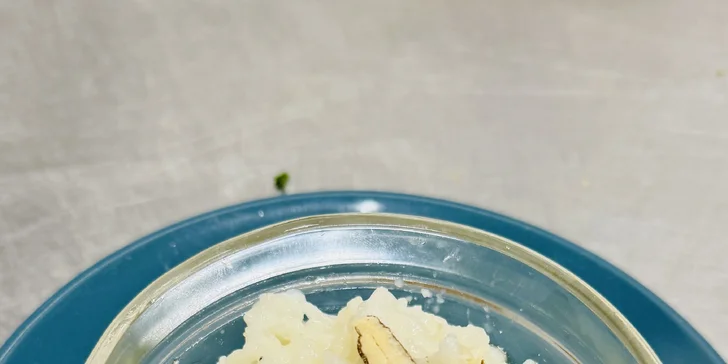 Tříchodové menu v indické restauraci v Opavě pro 2 osoby: jednotlivé chody dle výběru