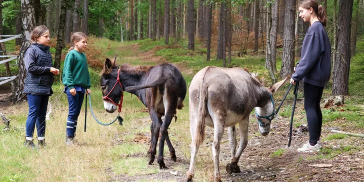 Procházka s oslíkem na Plzeňsku: zážitek pro jednotlivce i celou rodinu