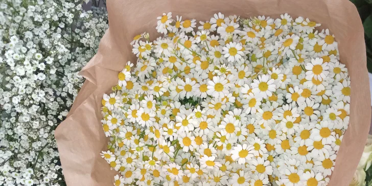 Floristické kurzy: úvod do floristiky, vázání kytic či aranžování květin
