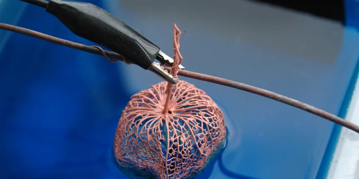 Kurz výroby poměděného šperku technologií galvanoplastiky a electroformingu: pro začátečníky, ve skupině či individuálně