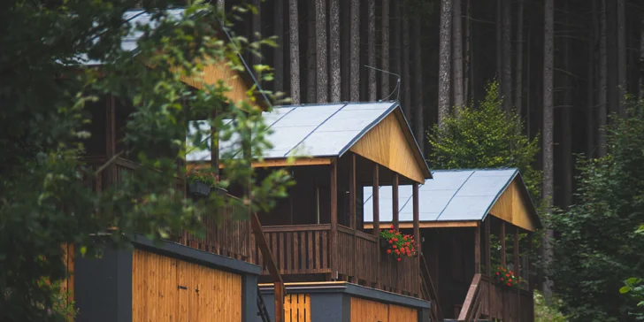 Krásný resort u lesní plovárny v Mladých Bukách na úpatí Krkonoš: koupání, turistika i lyžování na dosah
