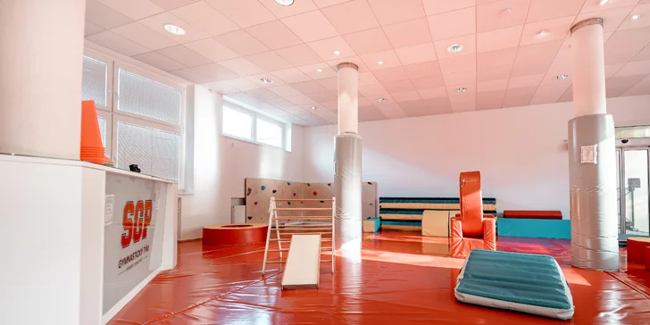 Vstup do dětské gymnastické herny, skupinové lekce i pronájem tělocvičny