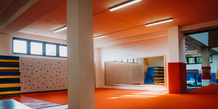Vstup do dětské gymnastické herny, skupinové lekce i pronájem tělocvičny